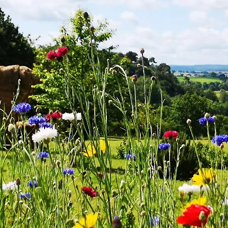 Couette-café Les Insolites De Jsk