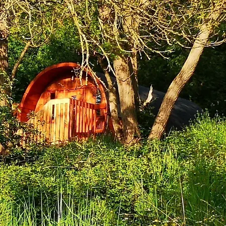 Couette-café Les Insolites De Jsk *