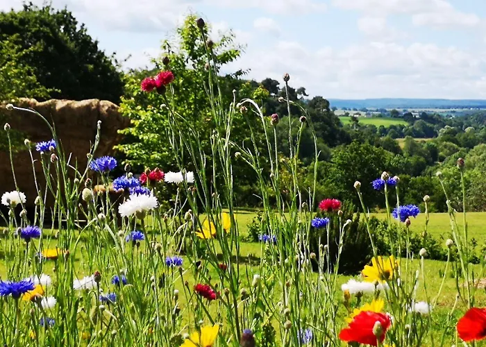 Bed and breakfast Les Insolites De Jsk